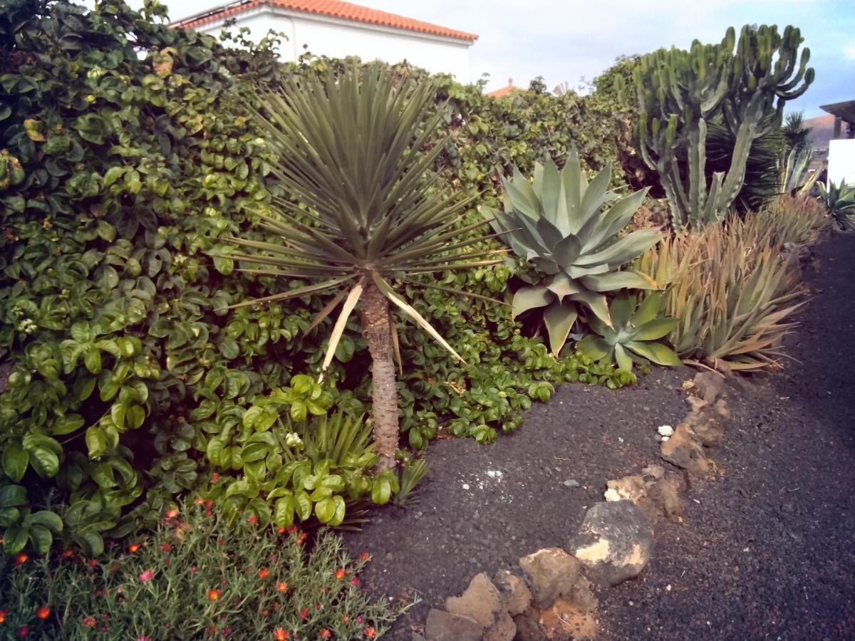 Surfwhitehouse Villa Lajares Exterior photo
