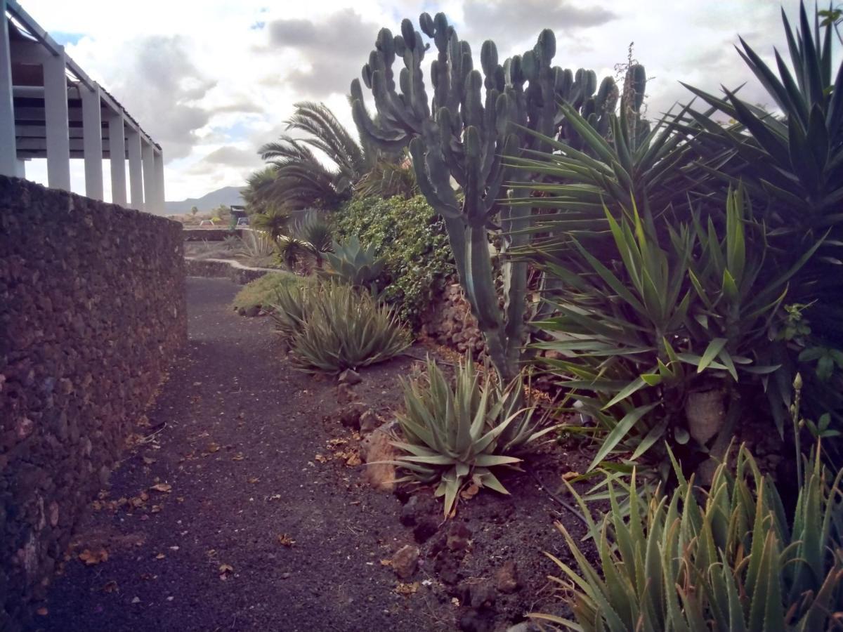 Surfwhitehouse Villa Lajares Exterior photo